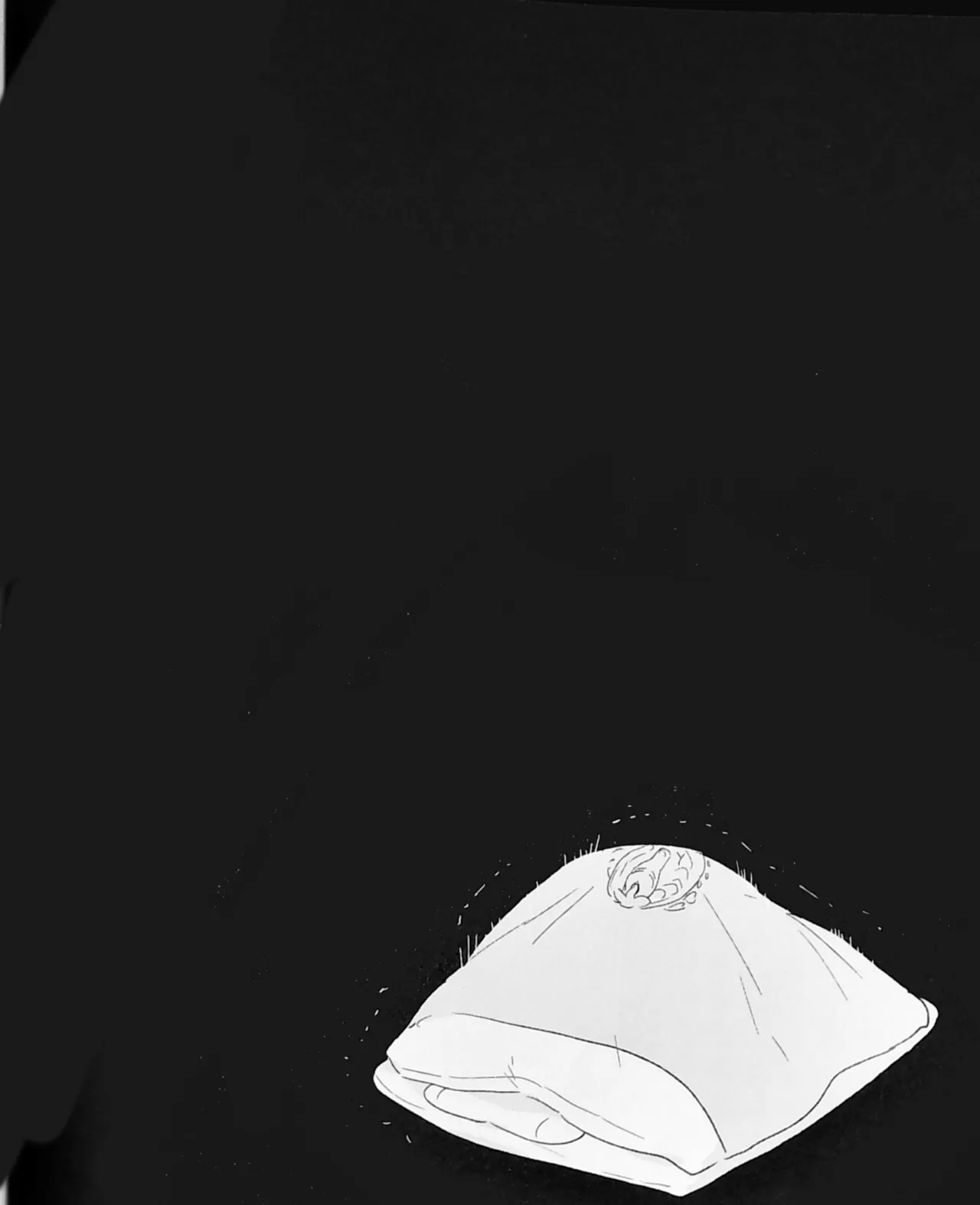 ねぼけた狐が見間違えたのじゃ Page.18