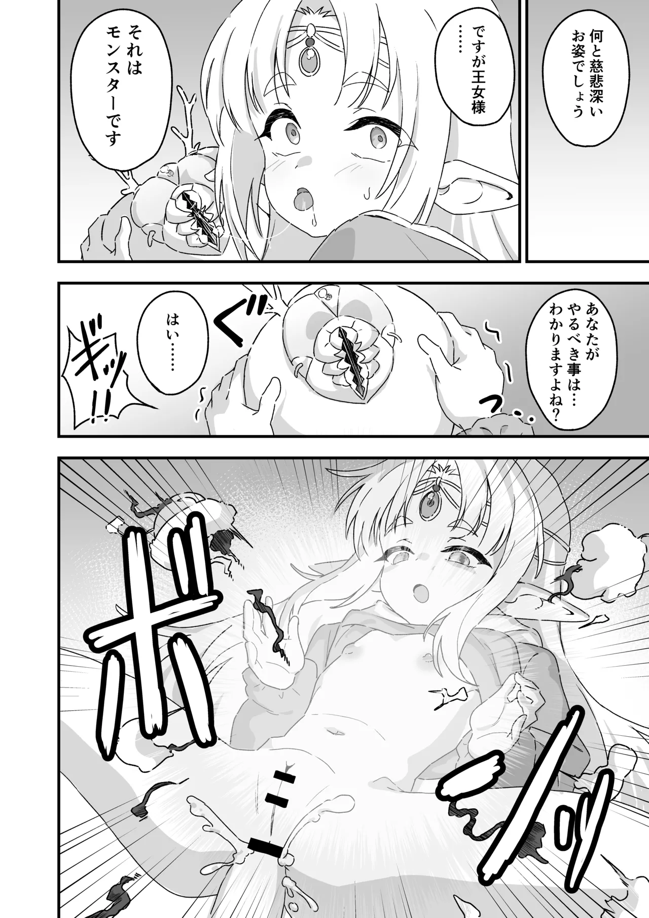 エルフの王女様 Page.11