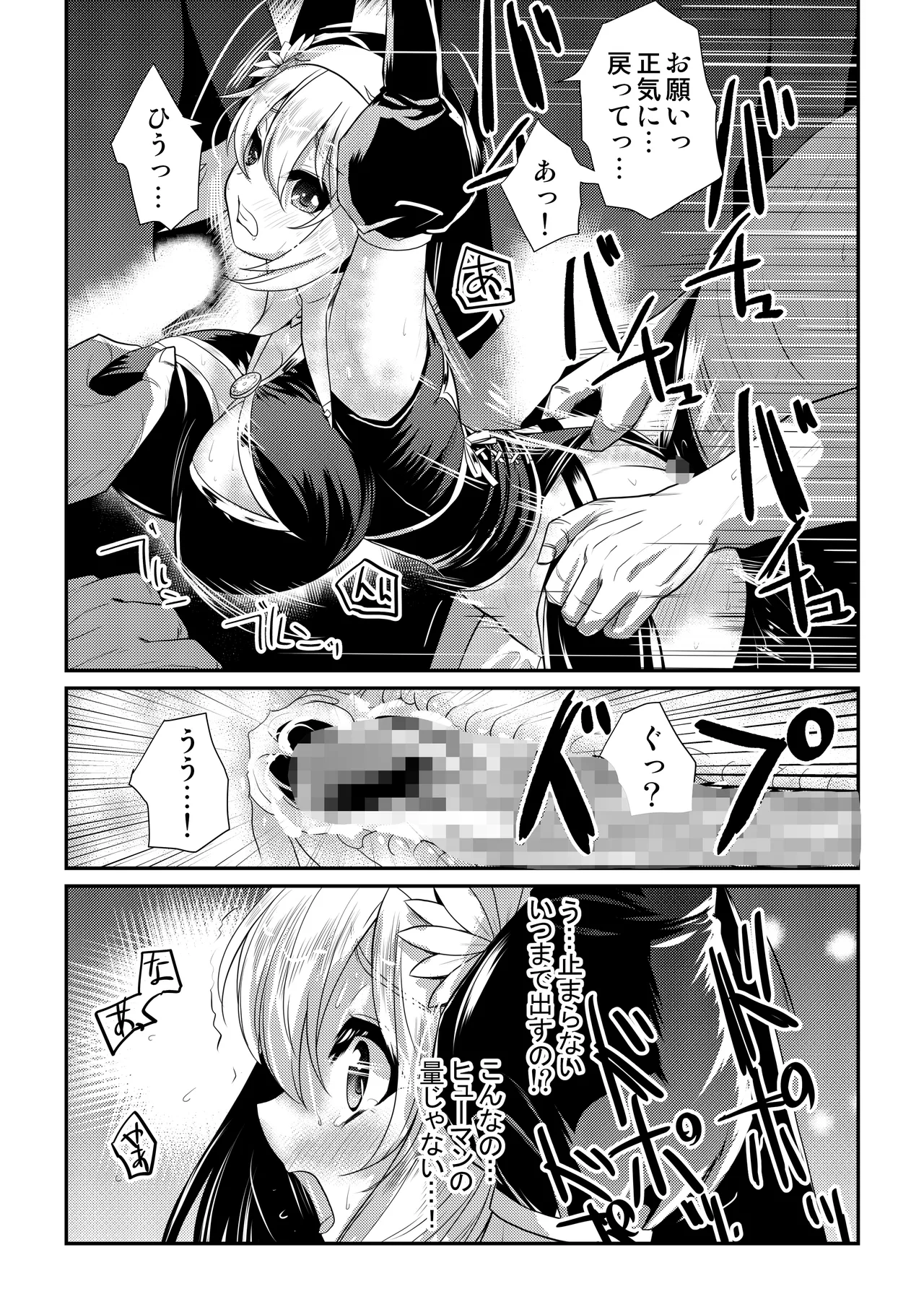 メイア教団シスター聖徒隊 デーシュヴァール村事件 Page.12