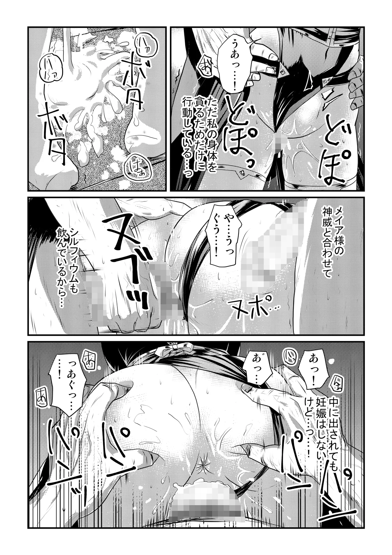 メイア教団シスター聖徒隊 デーシュヴァール村事件 Page.14