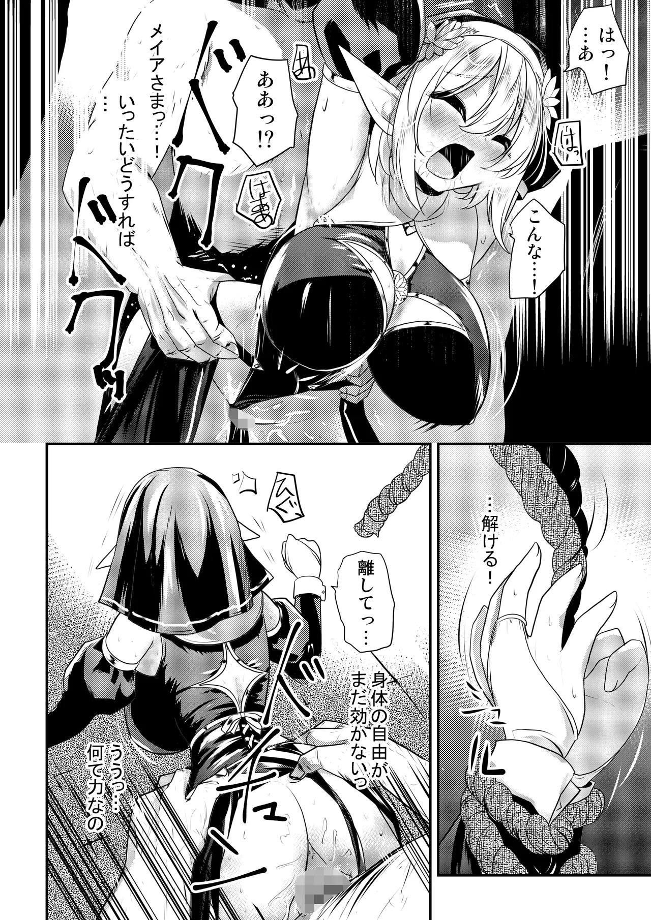 メイア教団シスター聖徒隊 デーシュヴァール村事件 Page.15