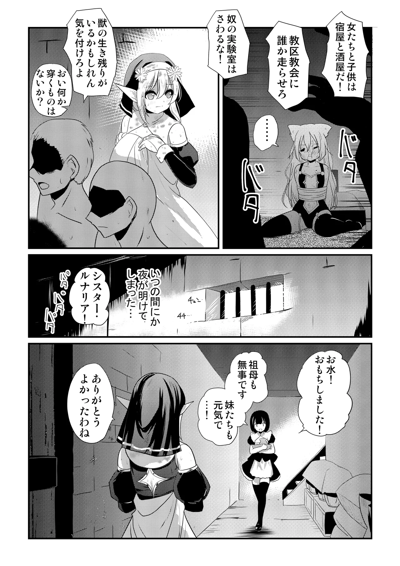 メイア教団シスター聖徒隊 デーシュヴァール村事件 Page.31