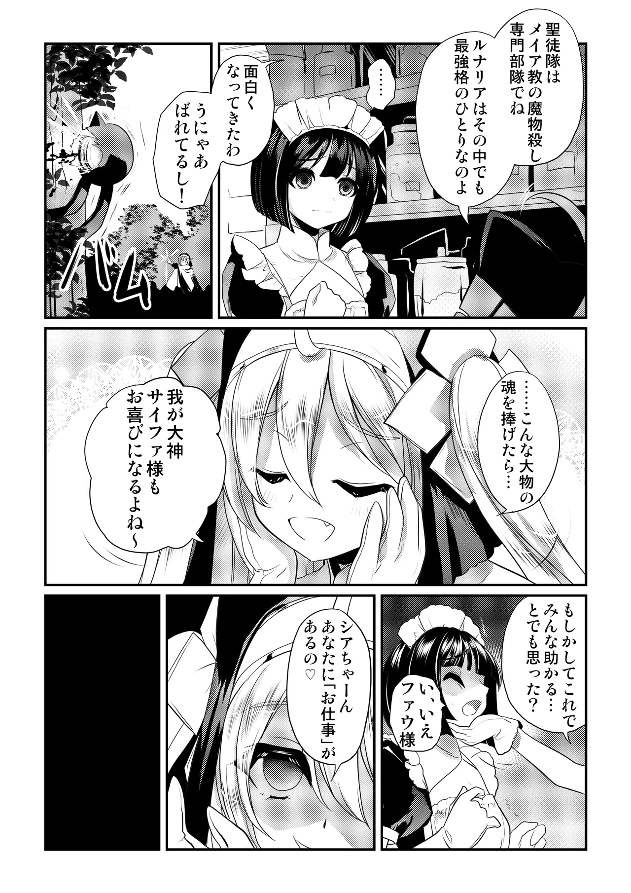 メイア教団シスター聖徒隊 デーシュヴァール村事件 Page.5