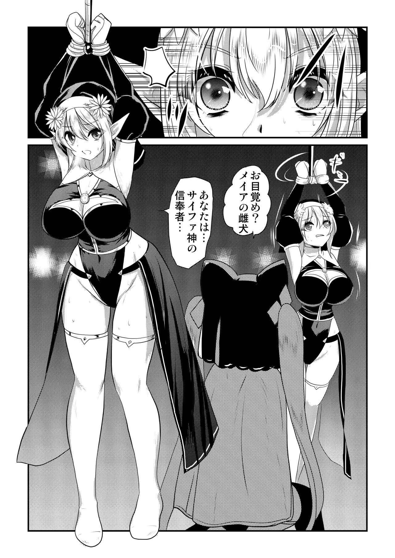 メイア教団シスター聖徒隊 デーシュヴァール村事件 Page.8
