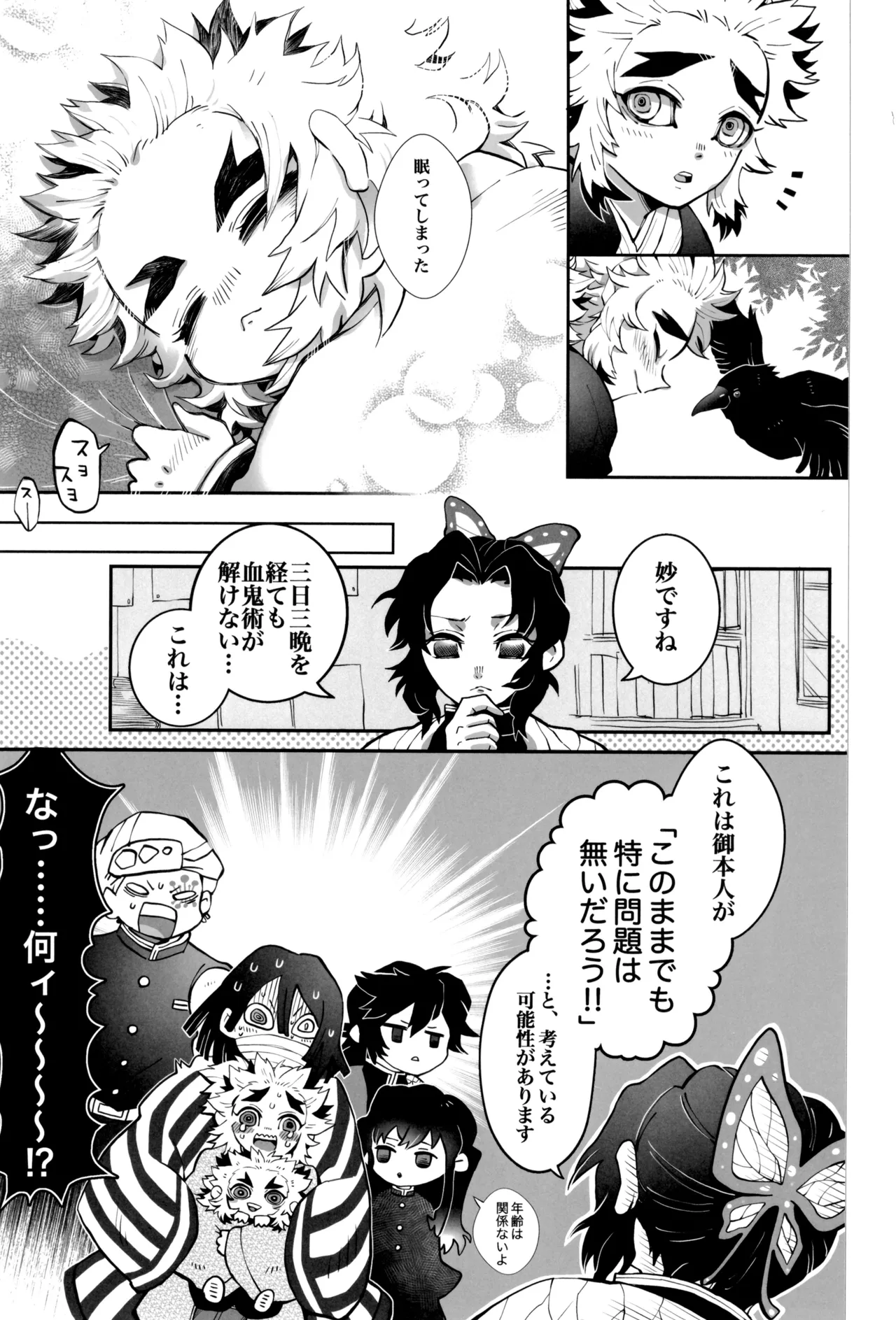 炎心スペクトル Page.11