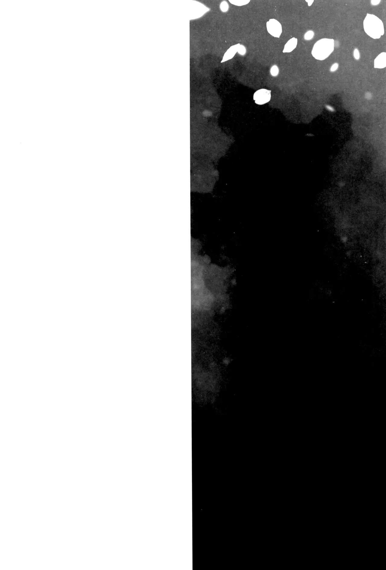 炎心スペクトル Page.72