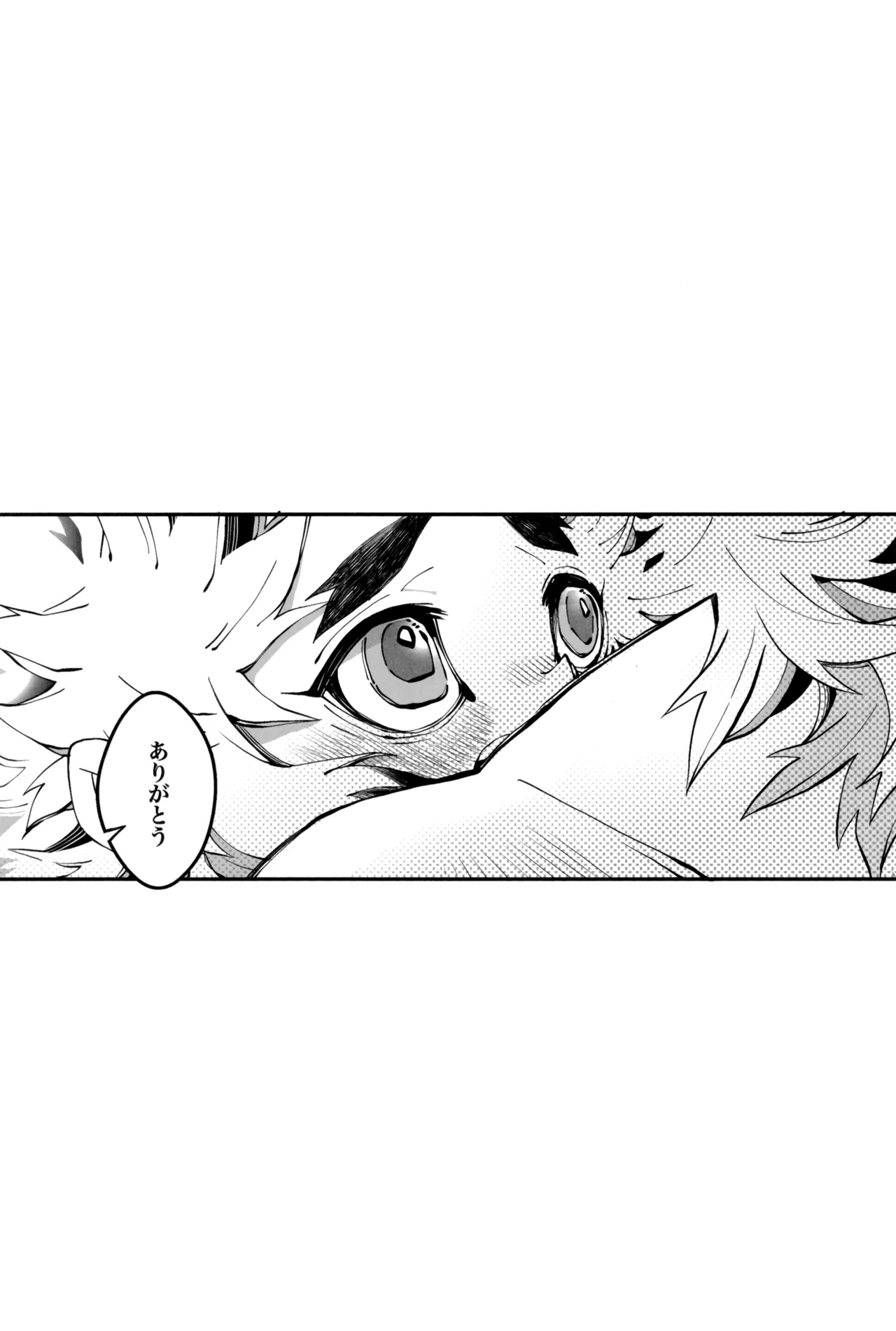 炎心スペクトル Page.97