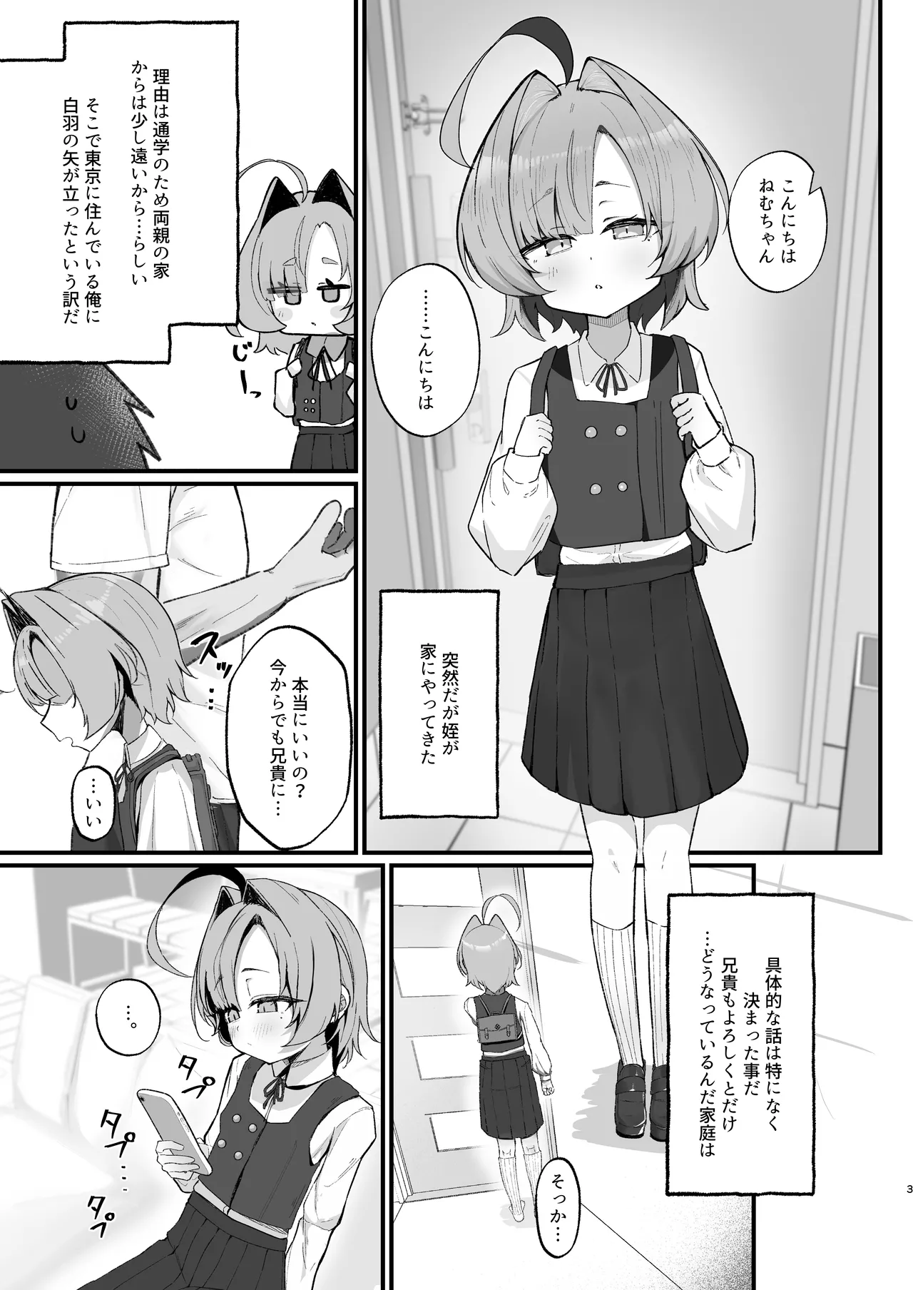 眠リ姫～姪っ子調教性活記録～ Page.3