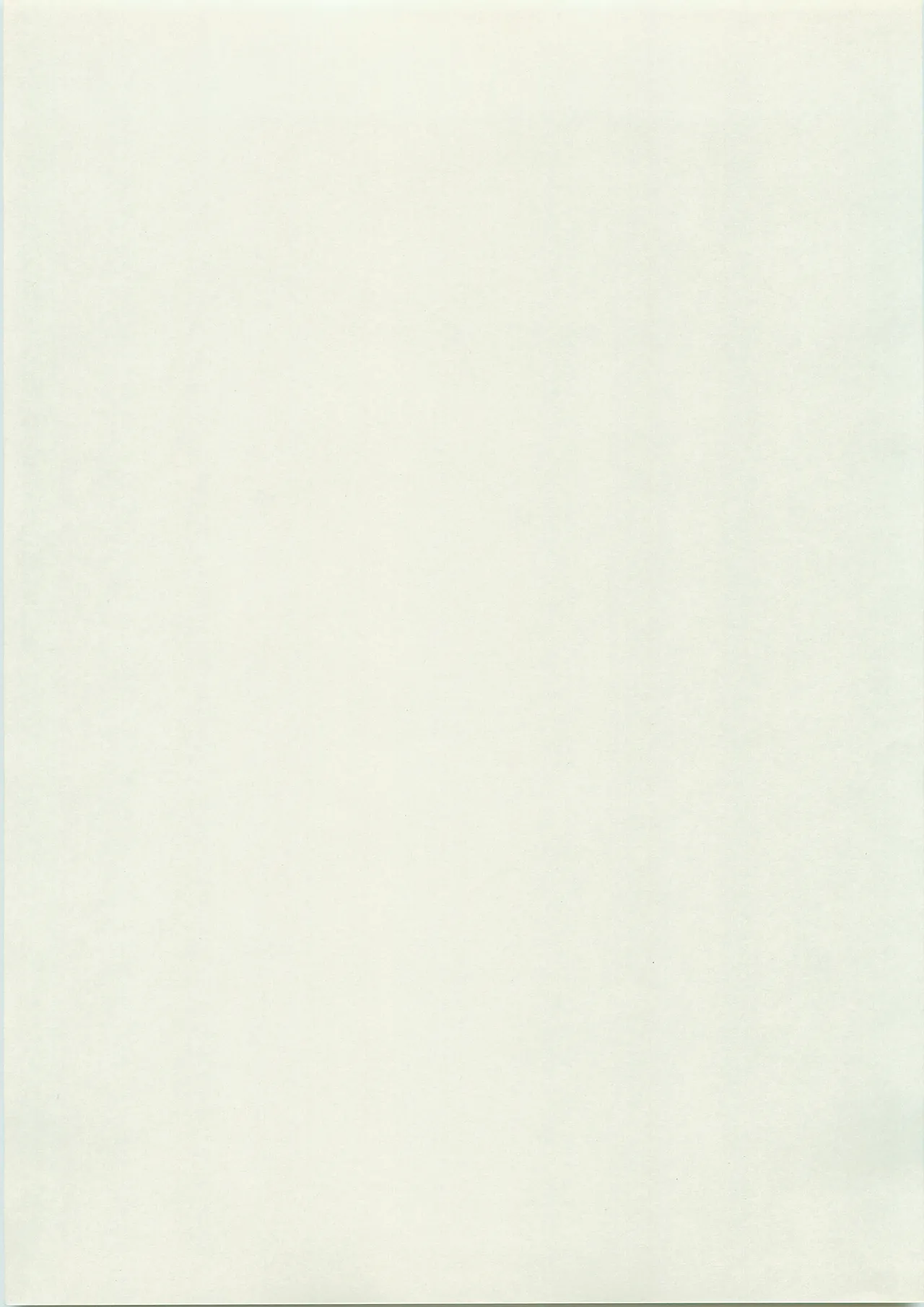 [ラビットカンパニー] NON WOWOW [南海奇皇ネオランガ よろず] Page.29