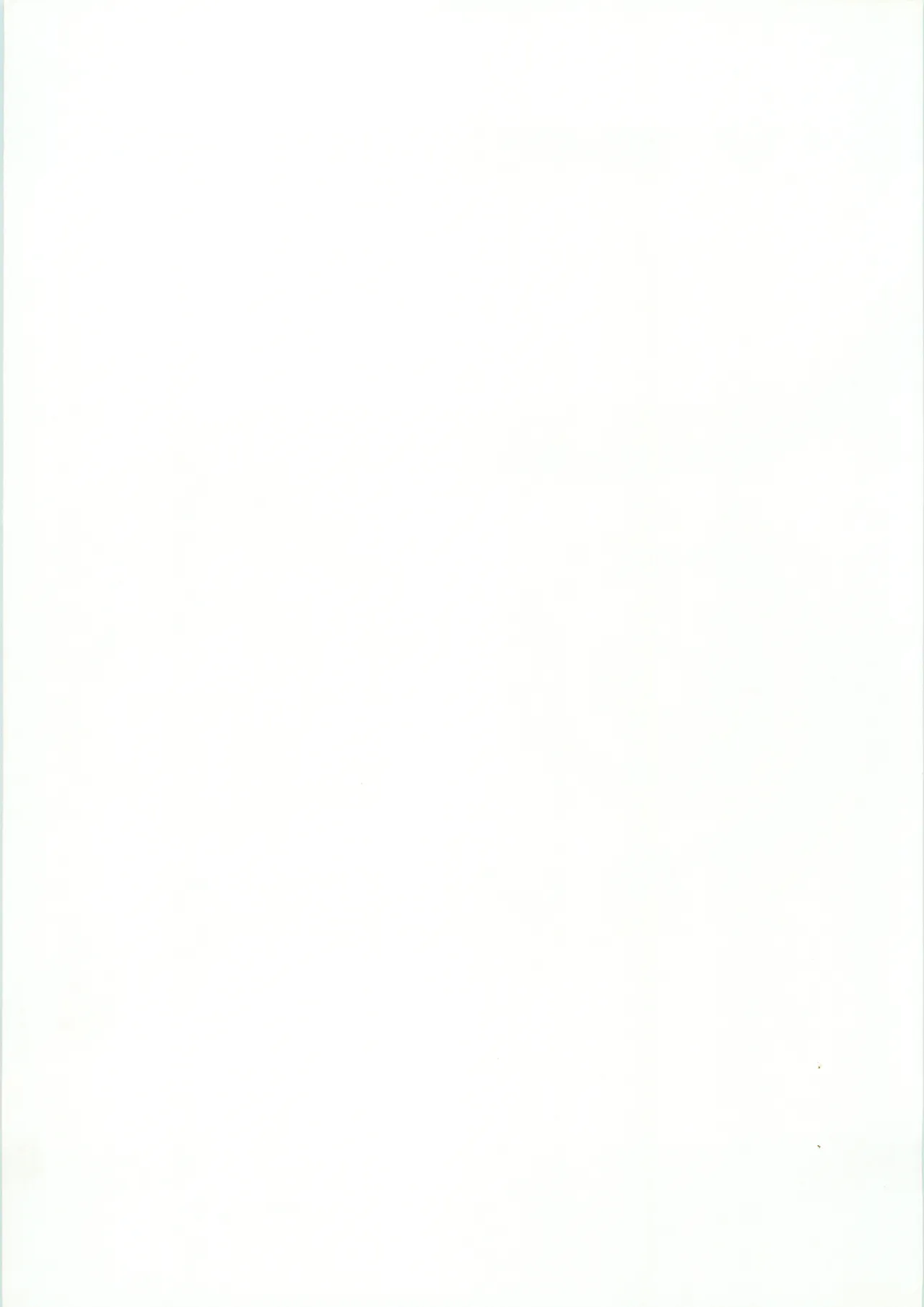 [ラビットカンパニー] NON WOWOW [南海奇皇ネオランガ よろず] Page.31