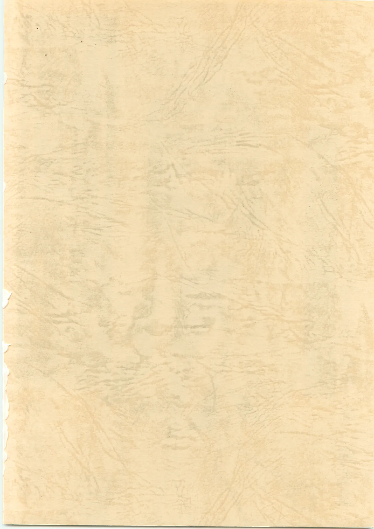 [TEAMいもずか] 南国帝皇２冊目 [南海奇皇ネオランガ] Page.2
