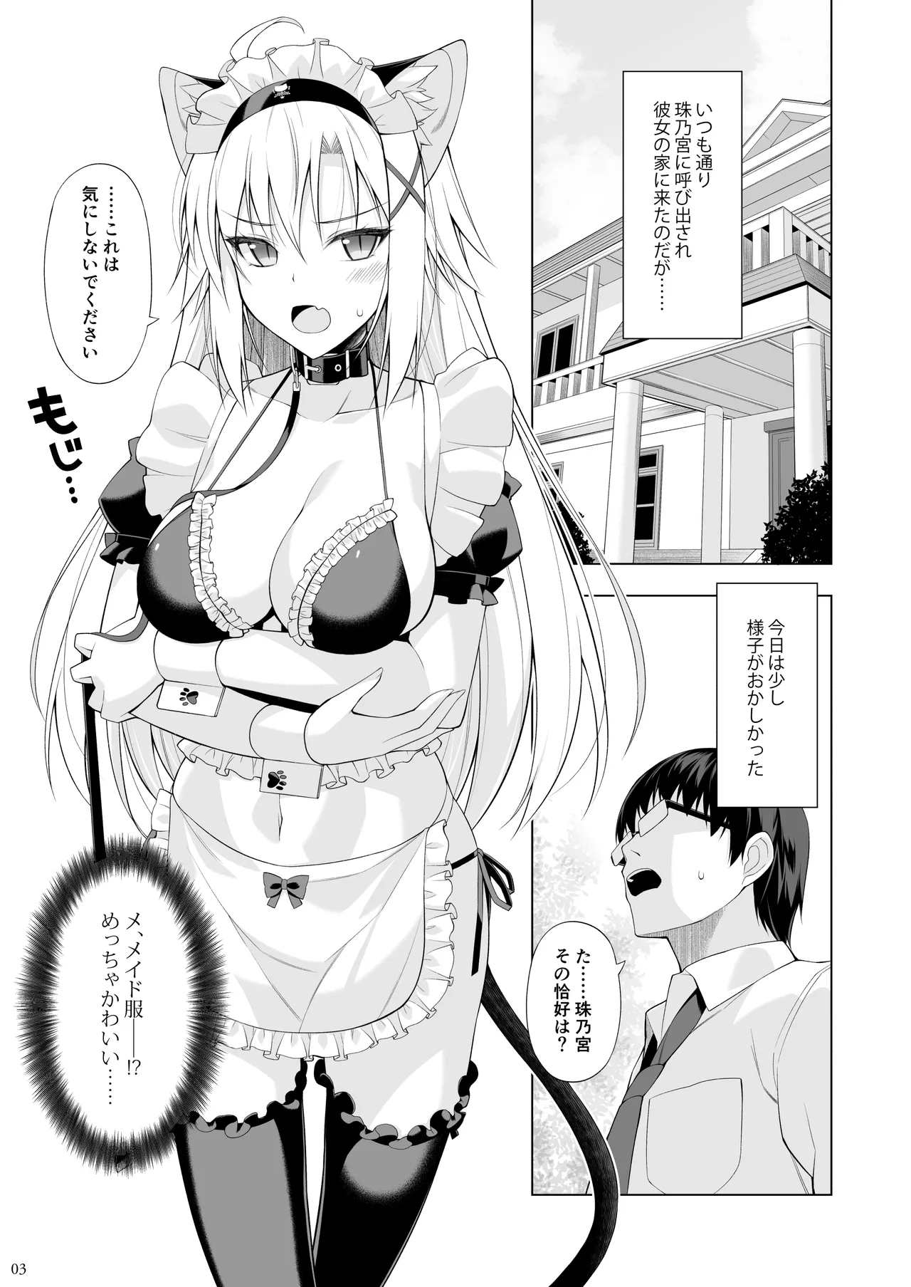 ねことげぼくVI Page.2