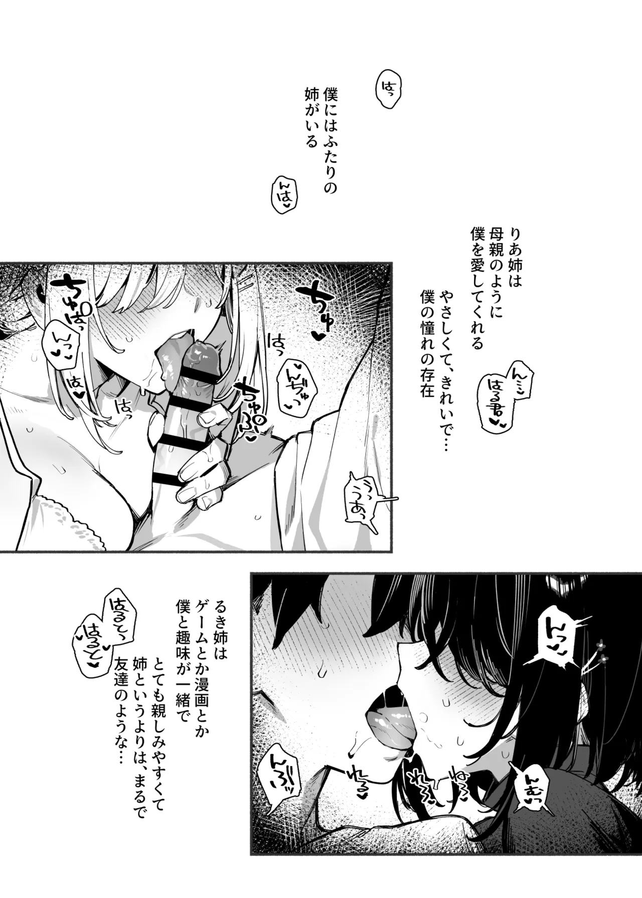しすたーこんとらすと2 むっつりお姉ちゃんと偏愛交尾 Page.3