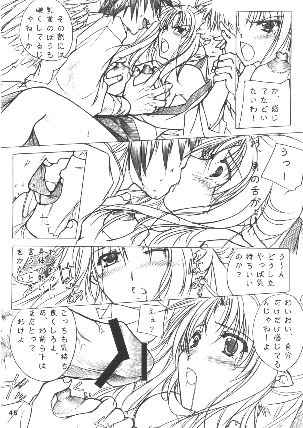 緋袴総集編其之壱 Page.45