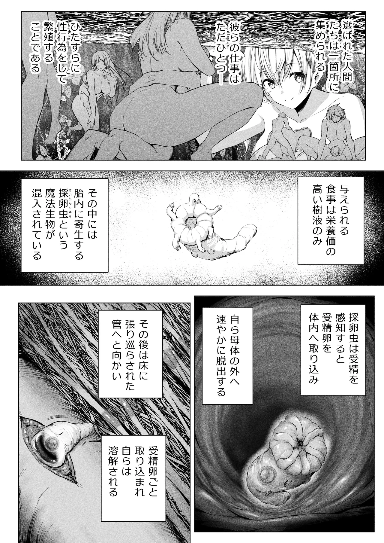妖精樂園 Page.26