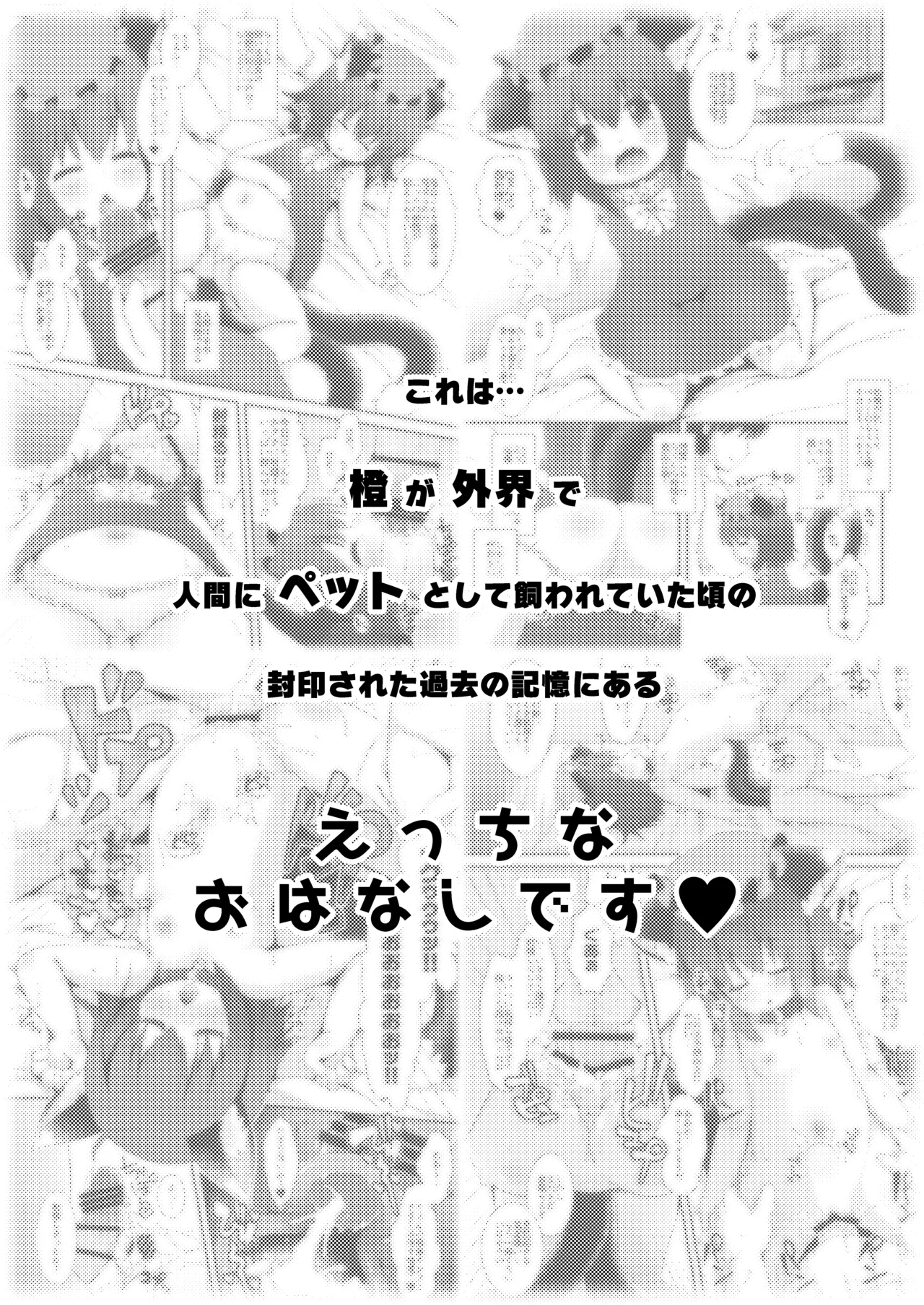 ちぇんといっしょ こすぷれちぇんじ Page.3