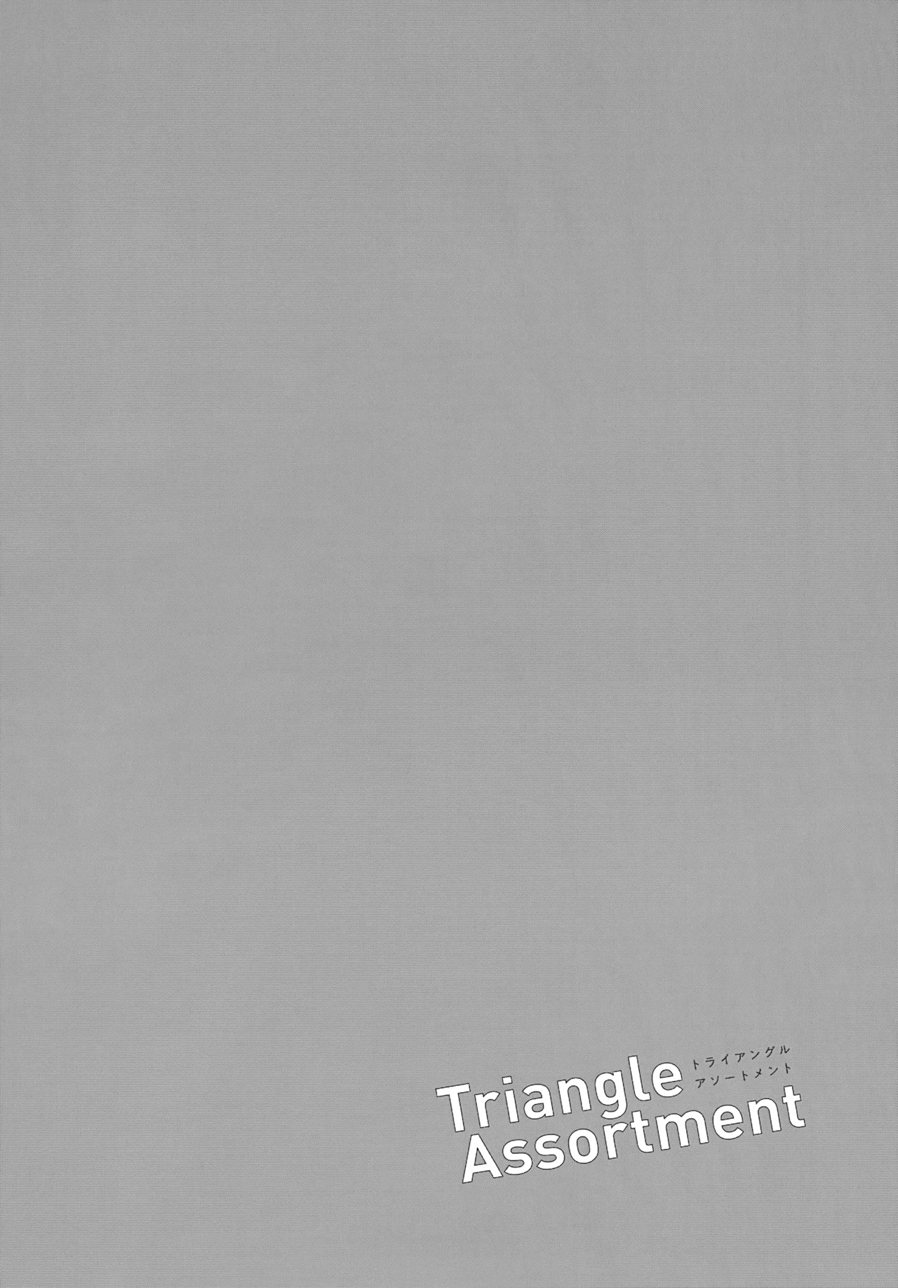 トライアングルアソートメント Page.15