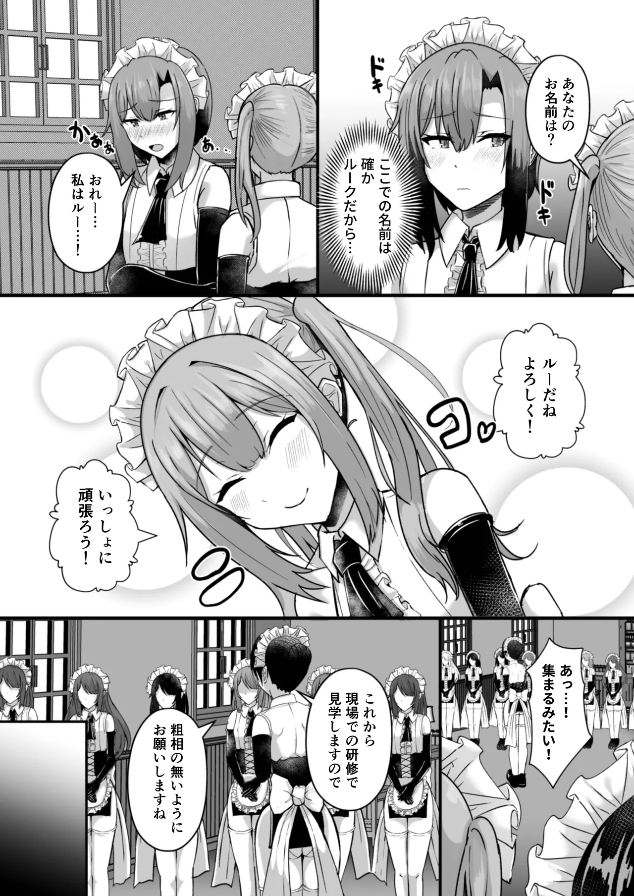 貧乳ユートピアの隠れ巨乳2 〜禁制爆乳バレから始まる王子専属Wメイド種付け教育〜 Page.11