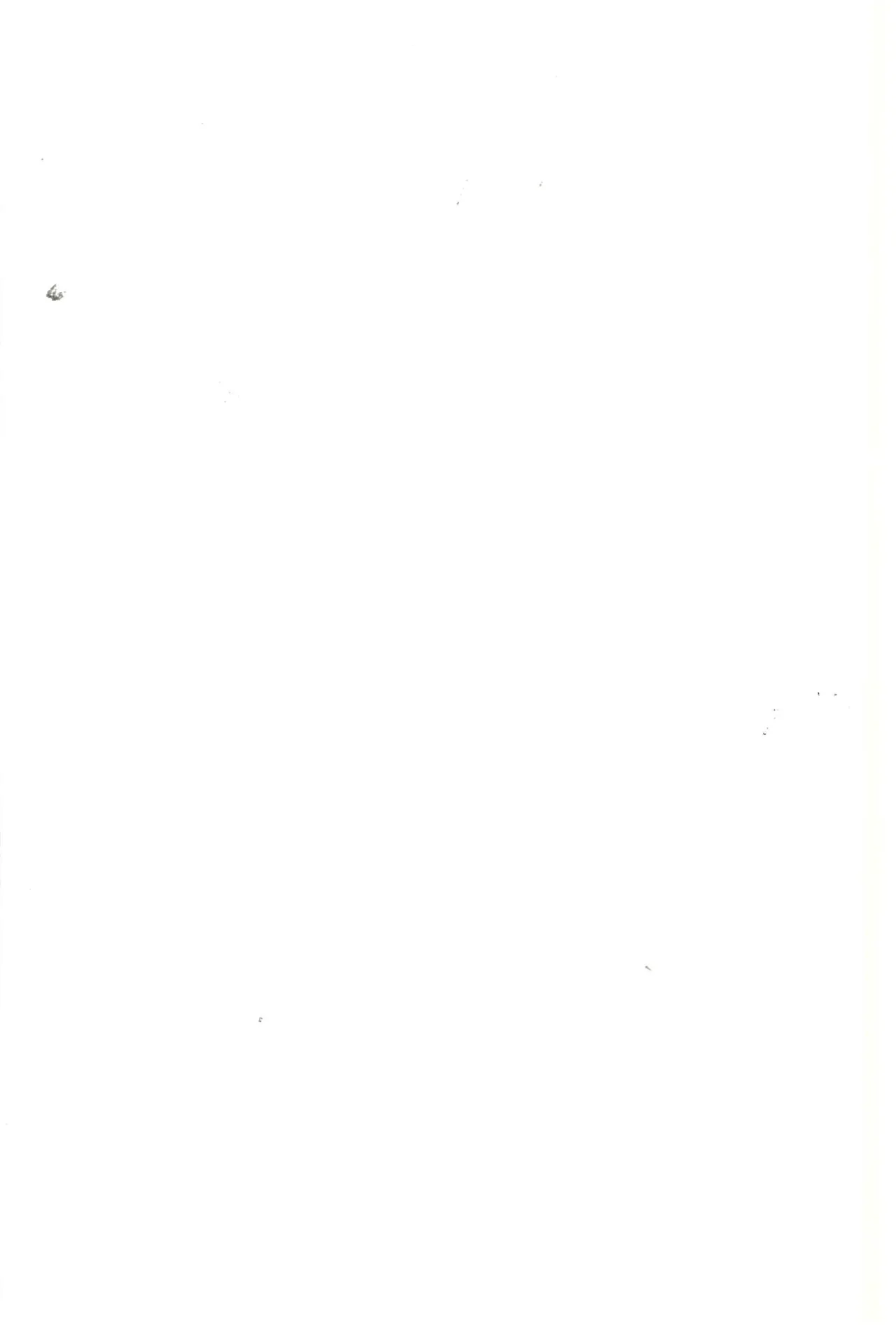 サマータイム・アフタースクール Page.2
