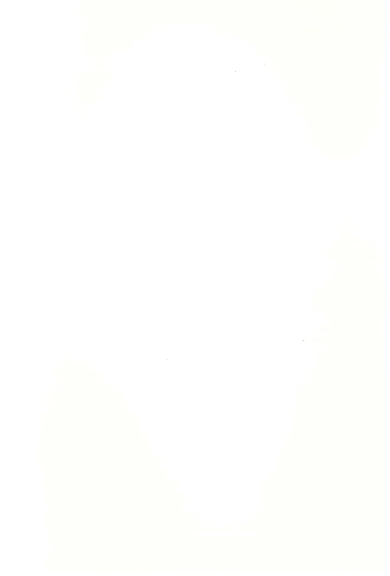 敗北フロントライン合同 MISSING DOLLS Page.2