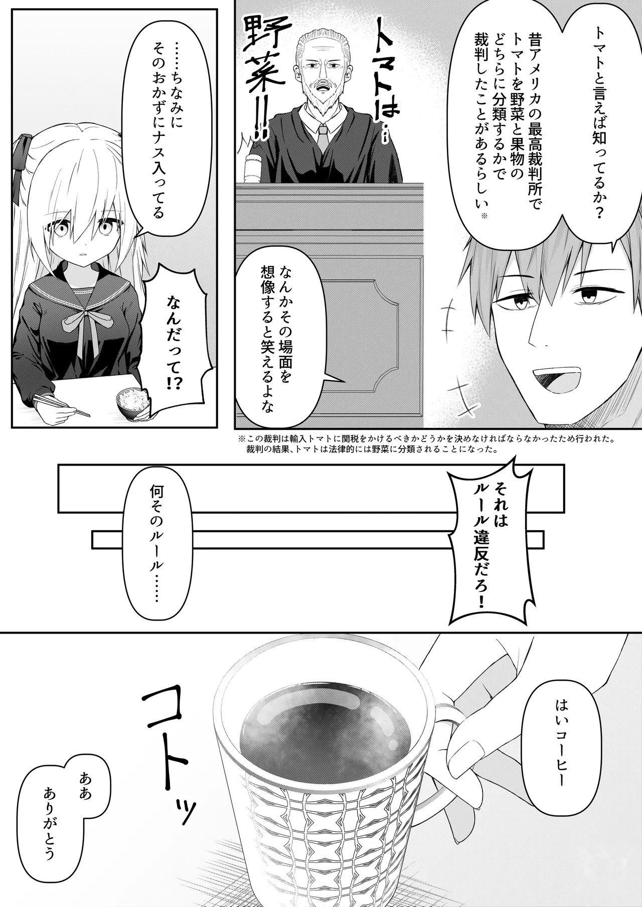 代替品 + 制作記セット Page.6