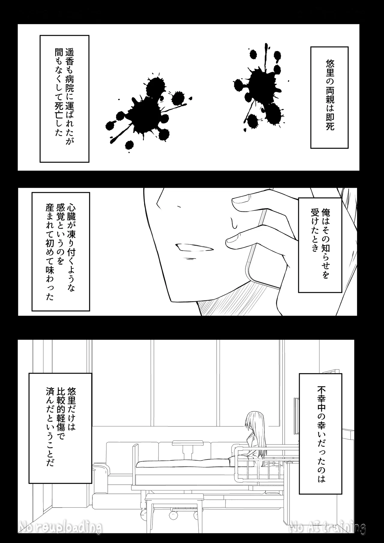 代替品 + 制作記セット Page.87