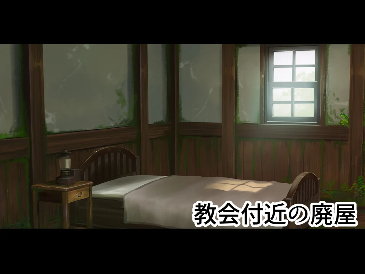 醜くも美しきこの世界を -盲目の聖女、淫魔に堕ちる Page.65