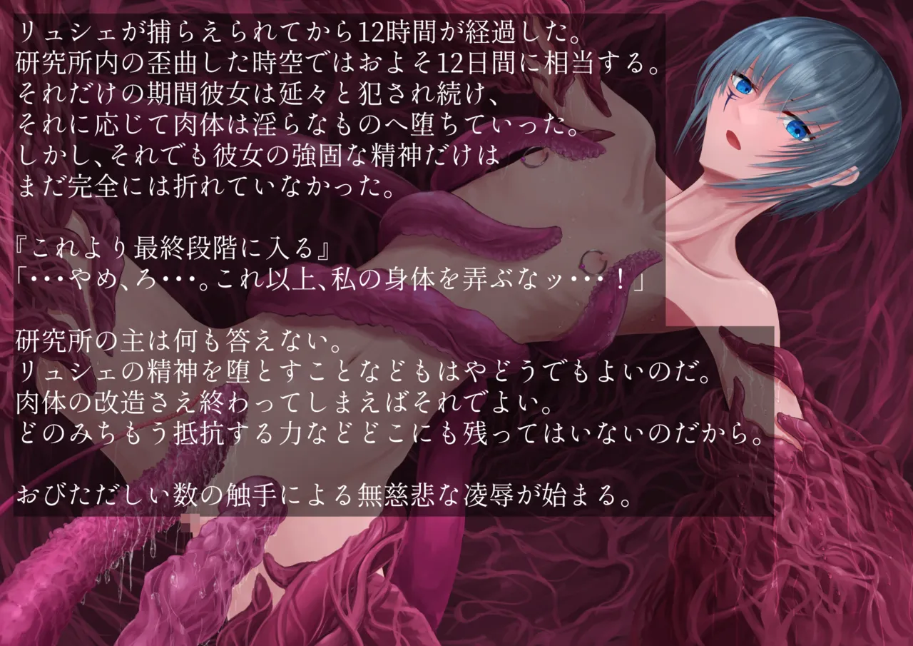 触手改造実験室 -Cace 01／リュシェ- Page.113