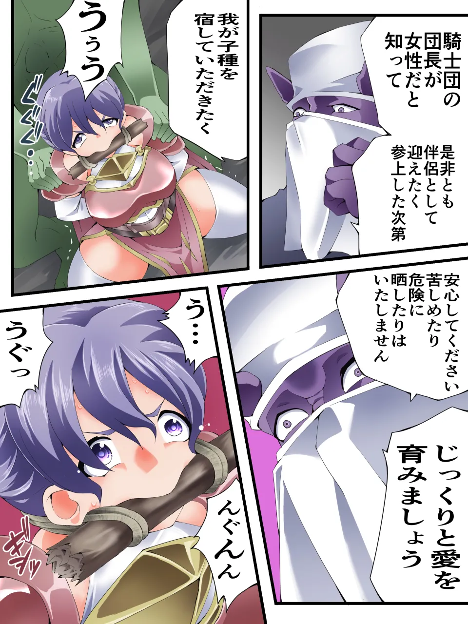 世梨さんは女騎士団長 Page.13