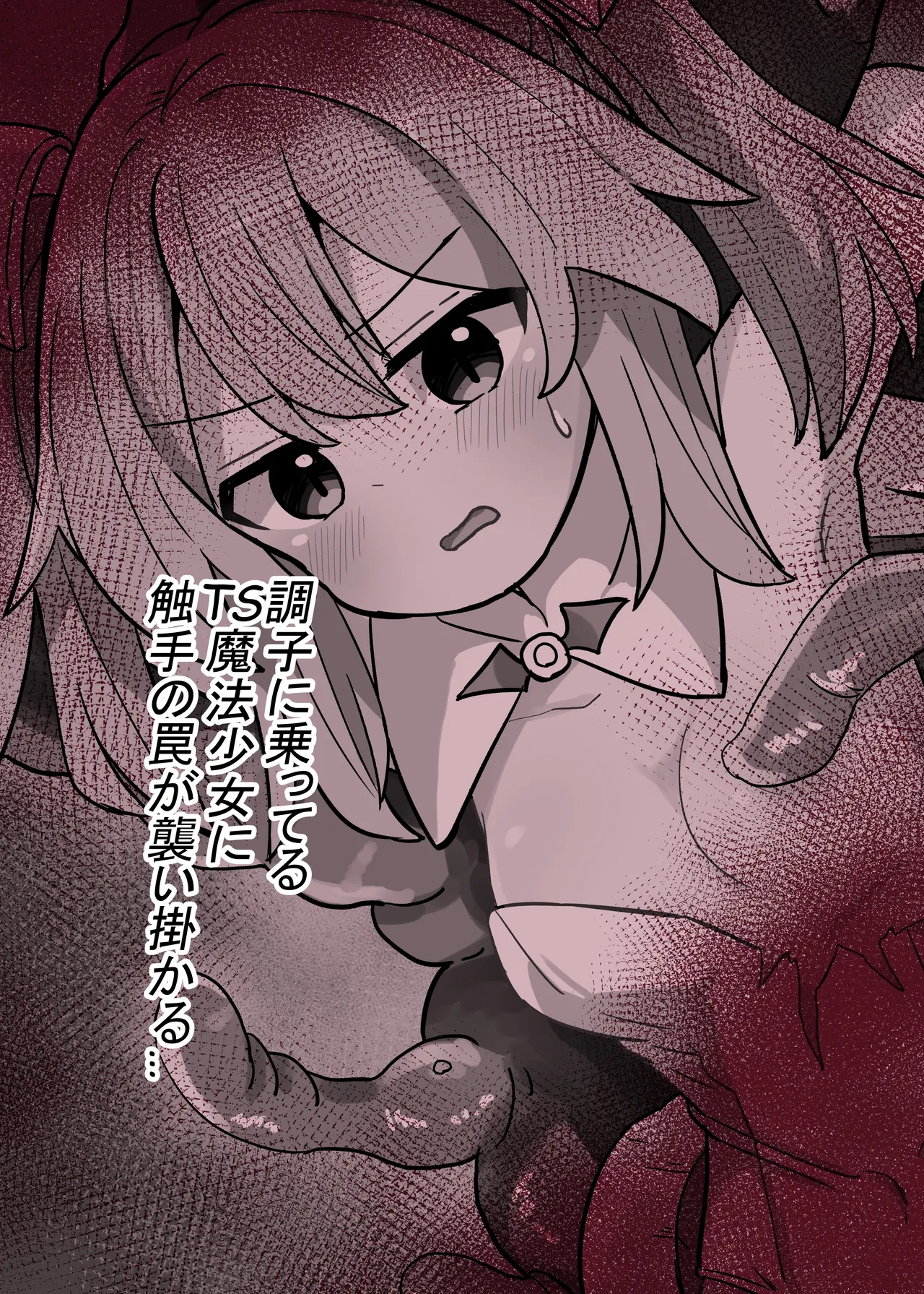 TS魔法少女、触手に堕ちる Page.18