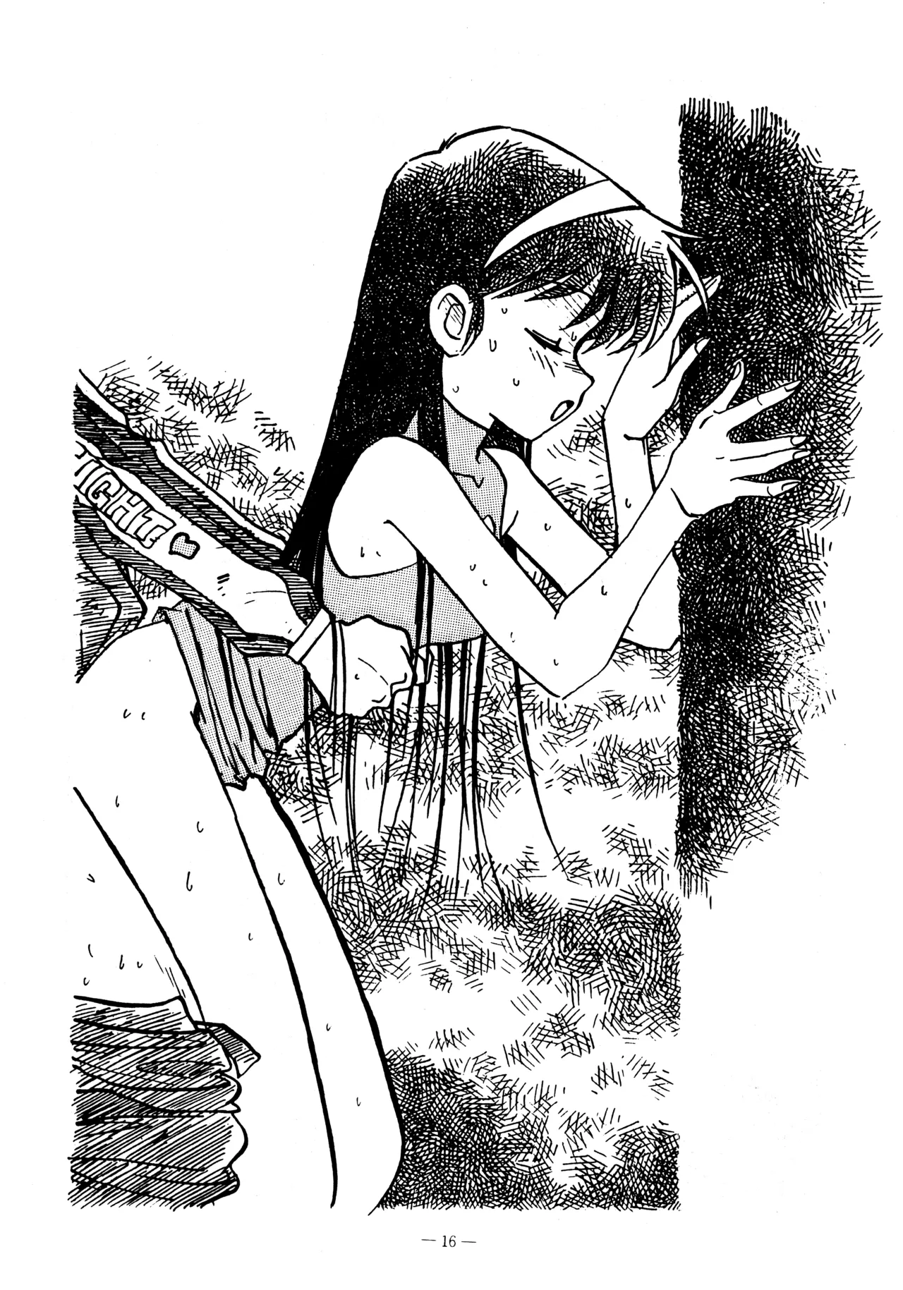 Little tomorrow PREVIEW Vol.8 「サイバーフォーミュラに明日はあるか?」原稿募集のPR号 Page.16