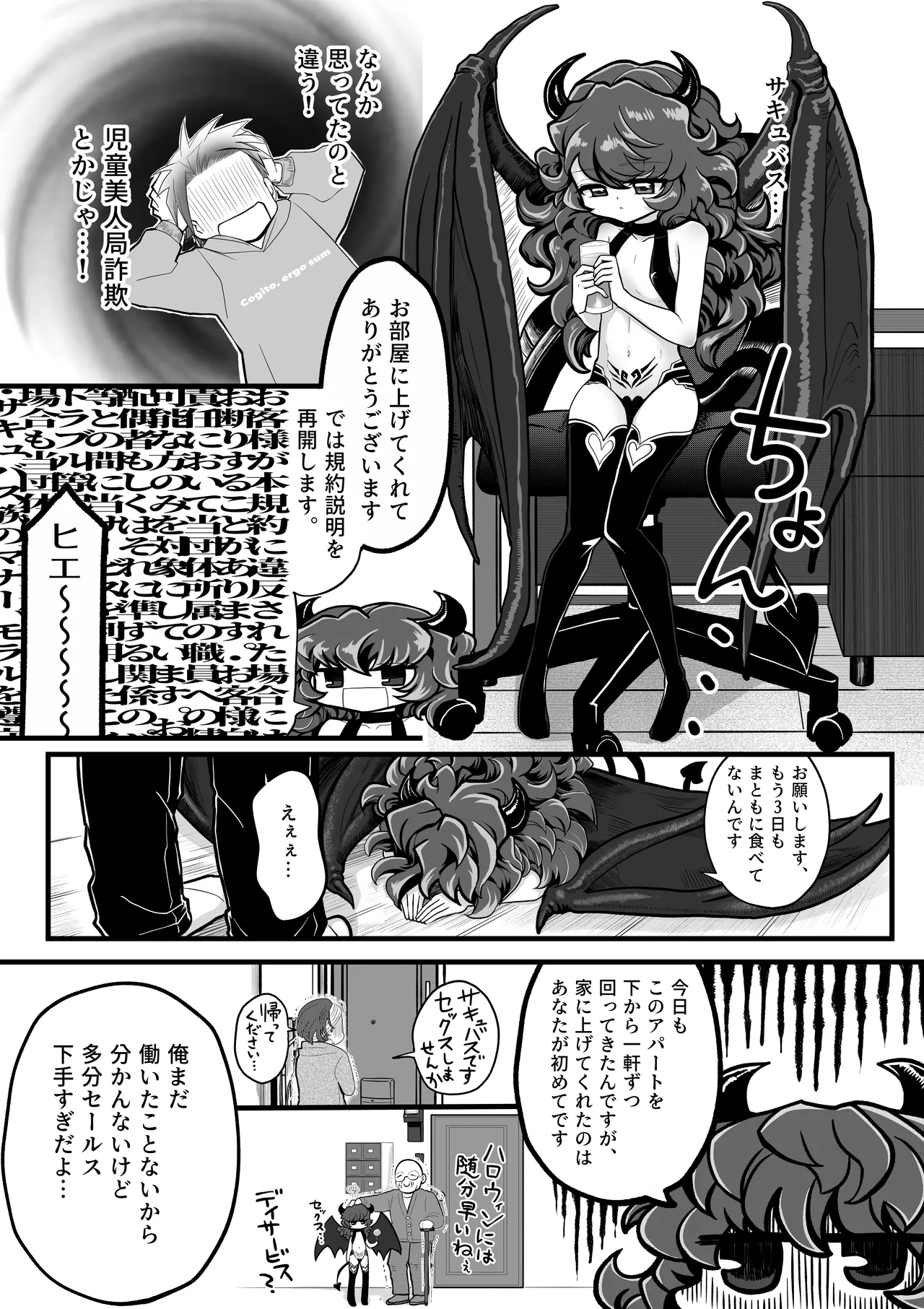 ポンコツ押売り営業サキュバスちゃん Page.3