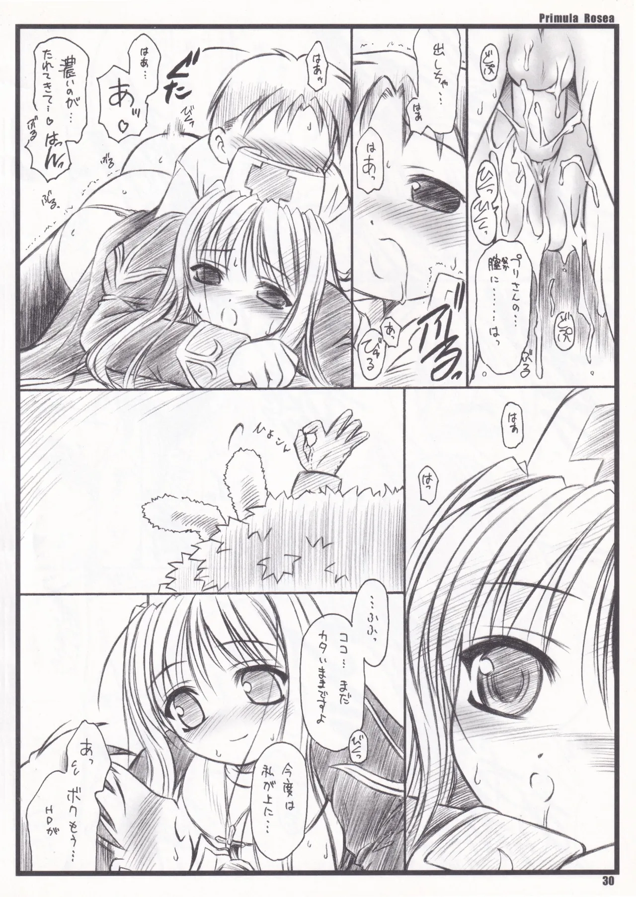Primula Rosea [無修正] Page.27
