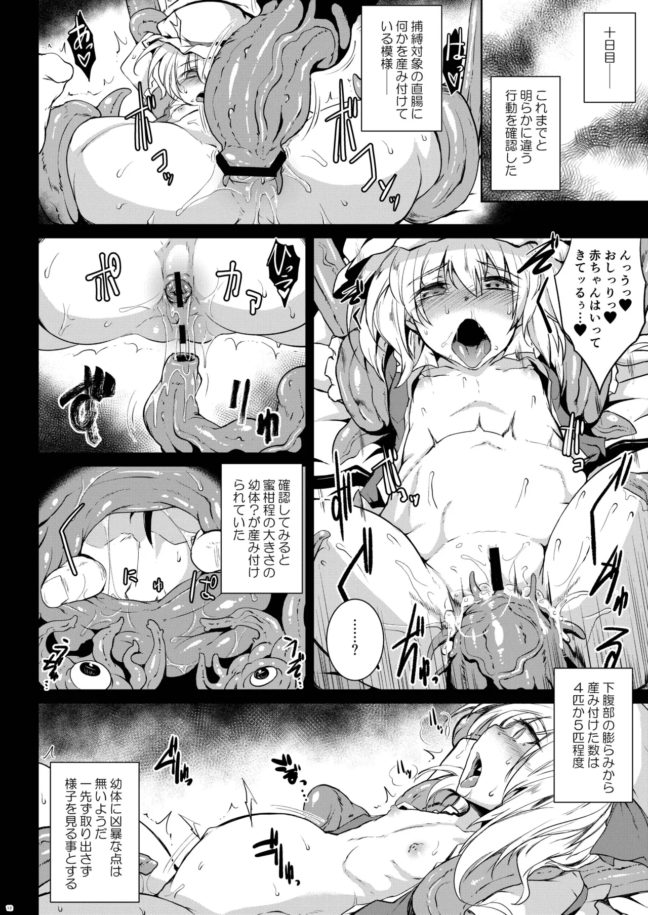 幻想艶交 -Flandre- 触 Page.11