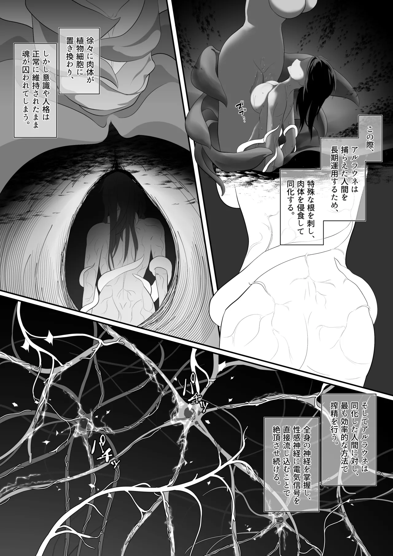 淫魔生態録 アルラウネ編 Page.19