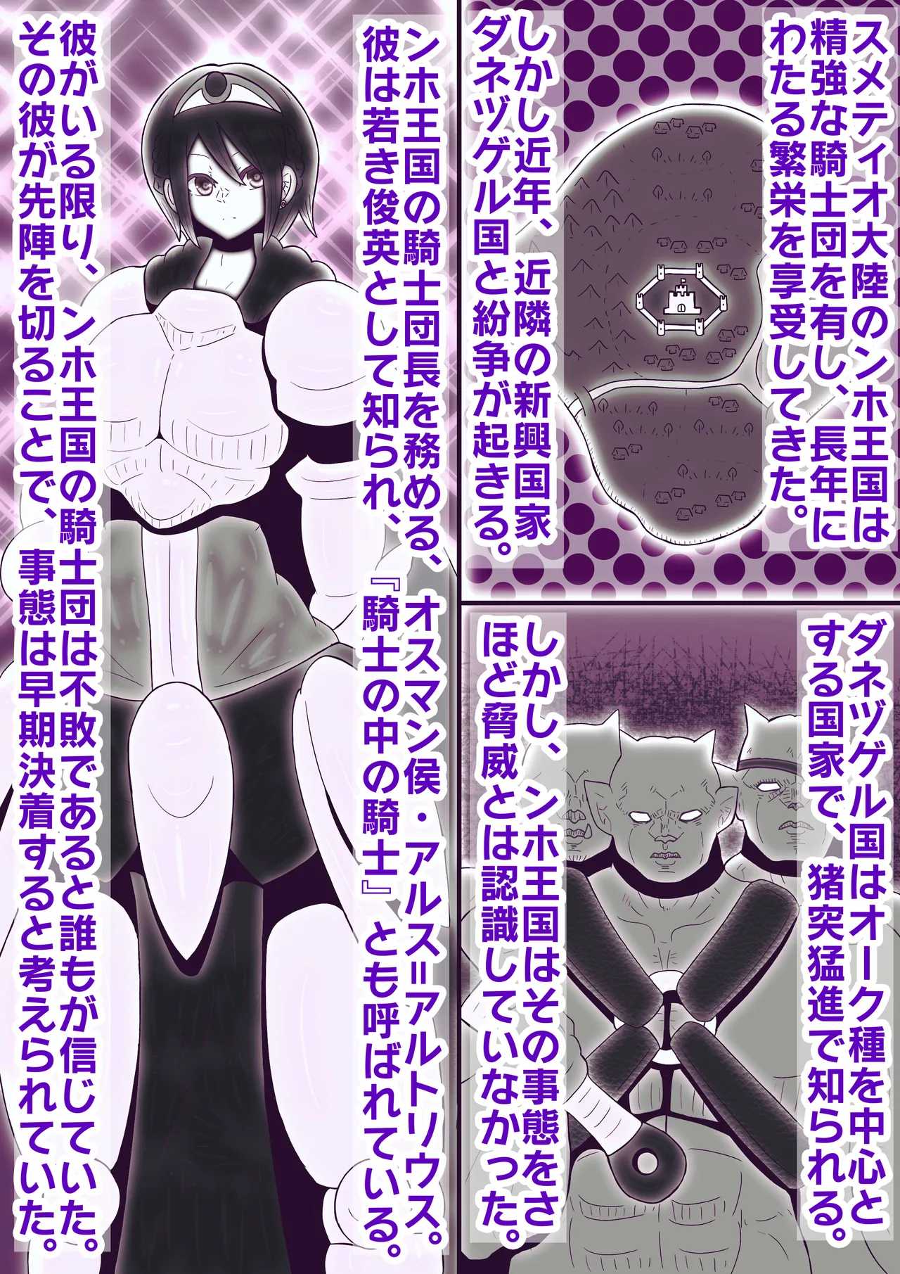 騎士団長メス堕ち†花嫁にされた騎士団† Page.3