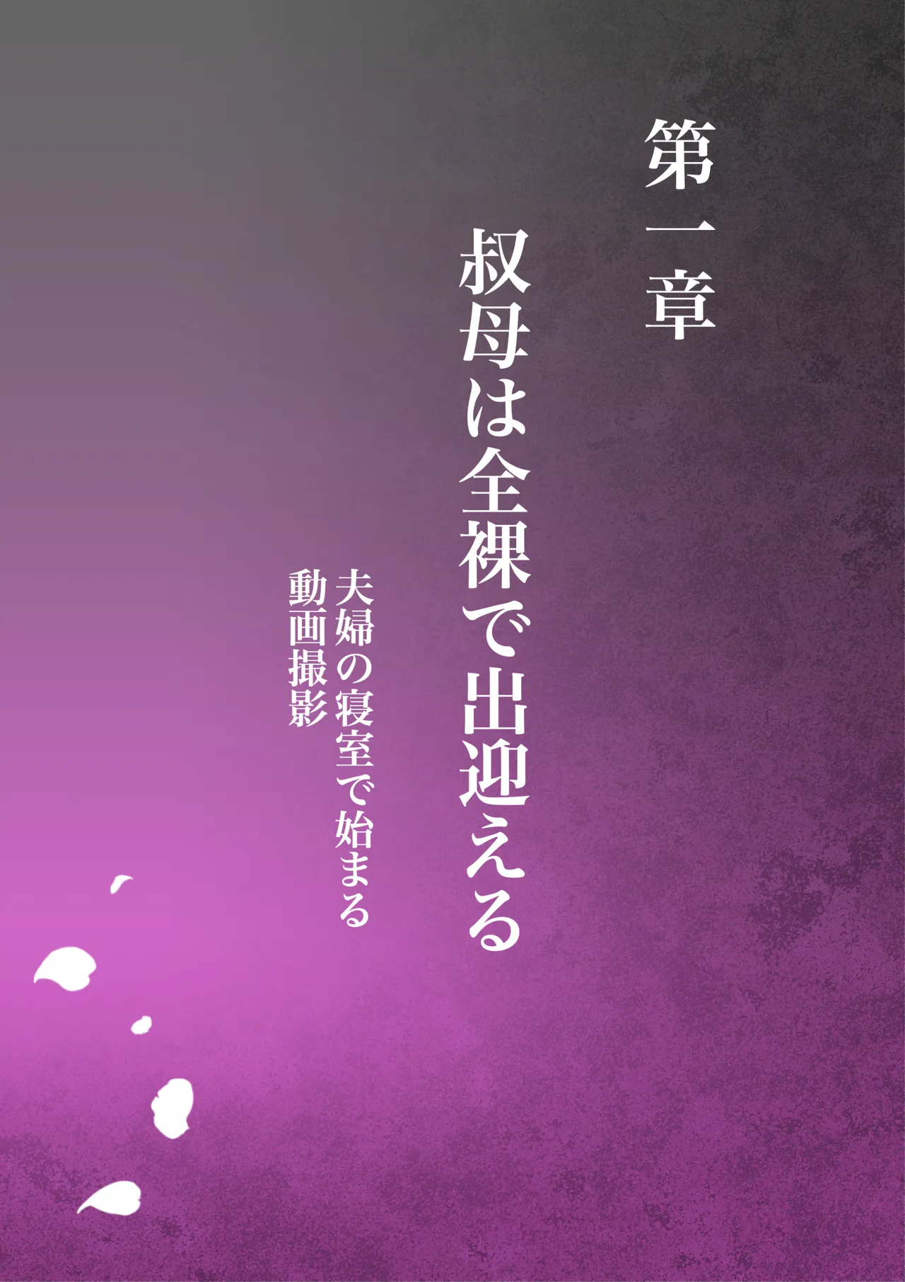 叔母真奈美 夫婦の寝室で同人AV撮影される あこがれの叔母を寝取る3 Page.3