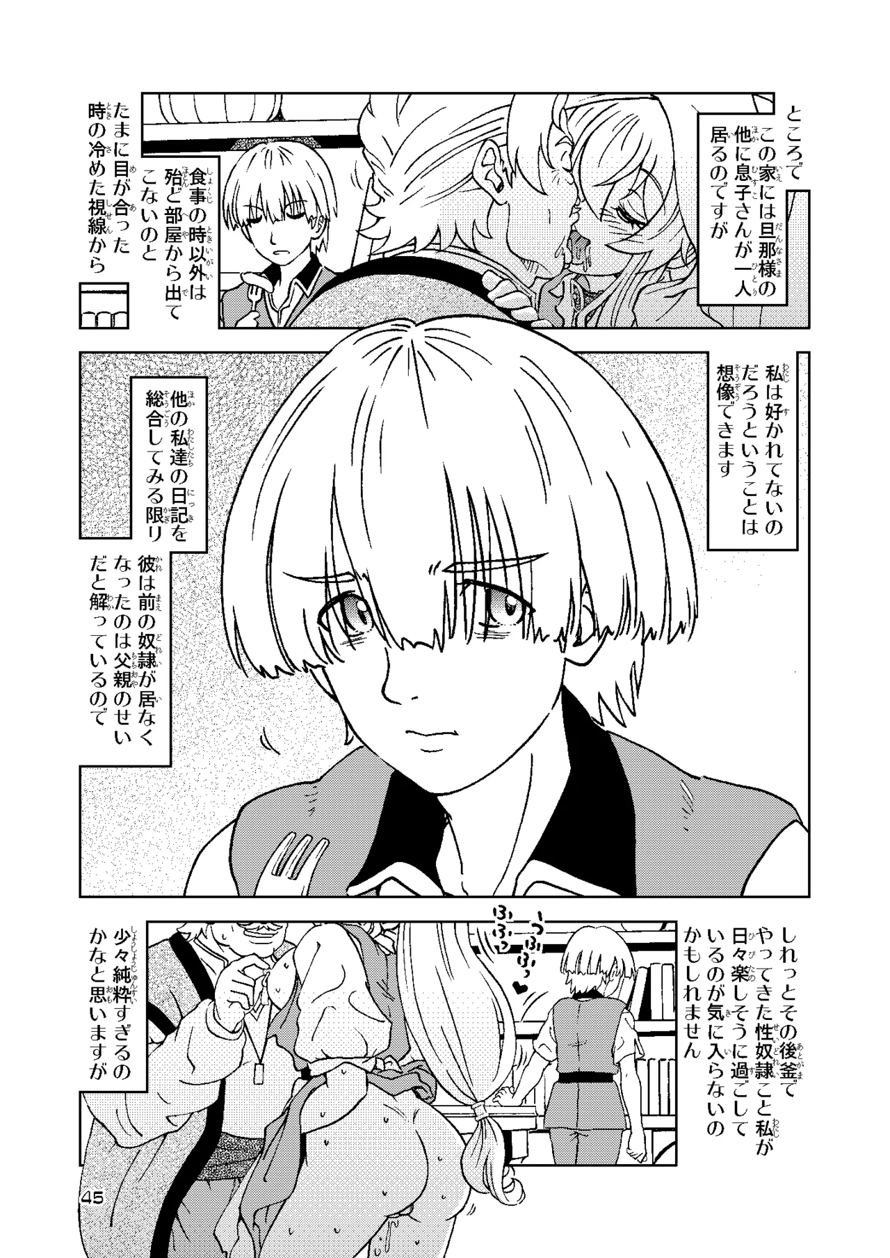 旅々日記には記せなかったコト。総集編2 -正直な人形たち編- Page.45