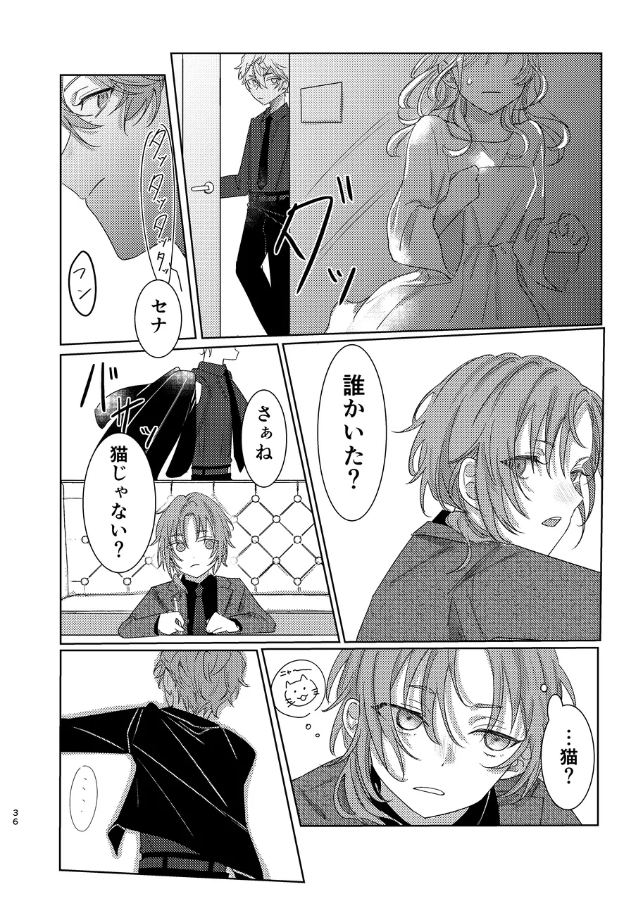 ショート・ショート・リード Page.35