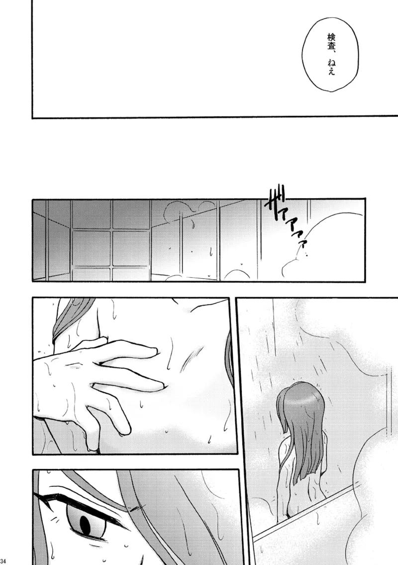 DE-10 Page.33