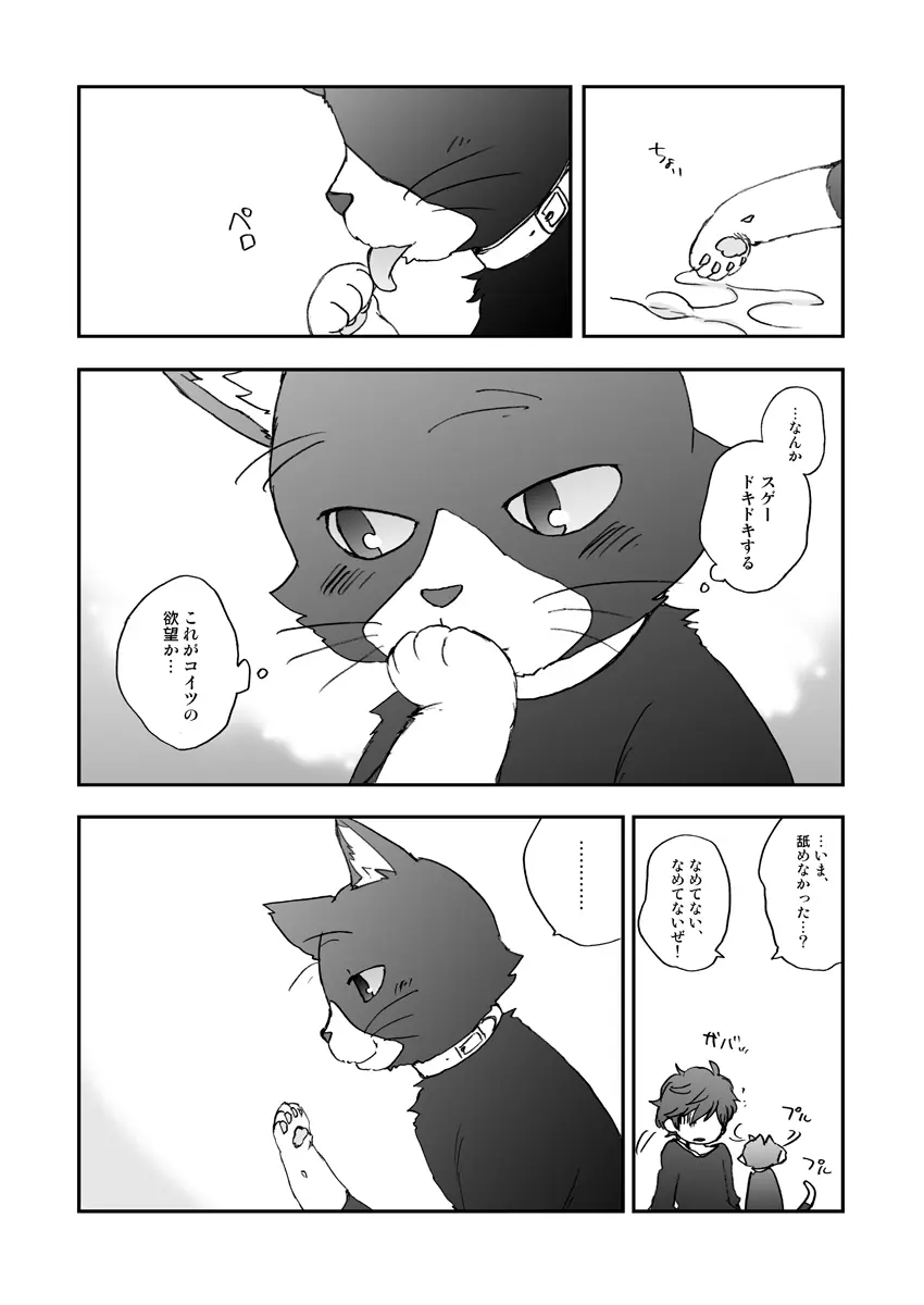 私の彼はハチワレソックス Page.12