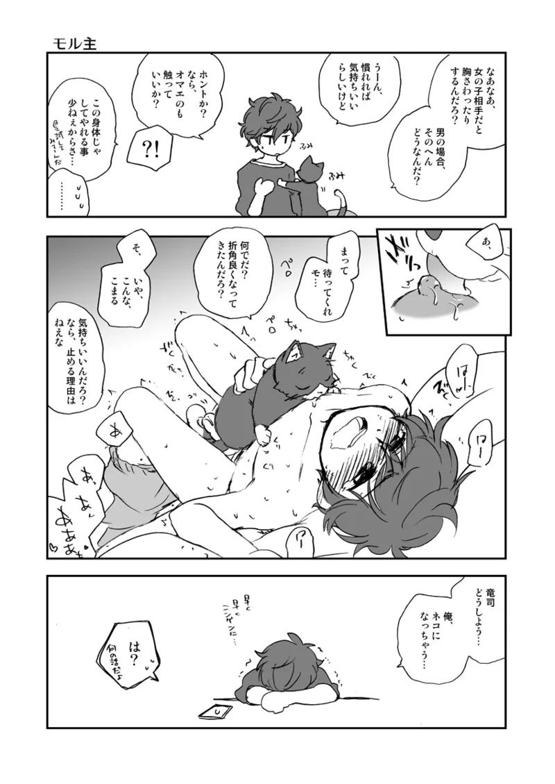 私の彼はハチワレソックス Page.16