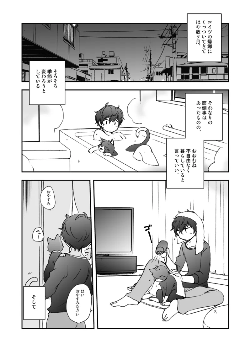 私の彼はハチワレソックス Page.4