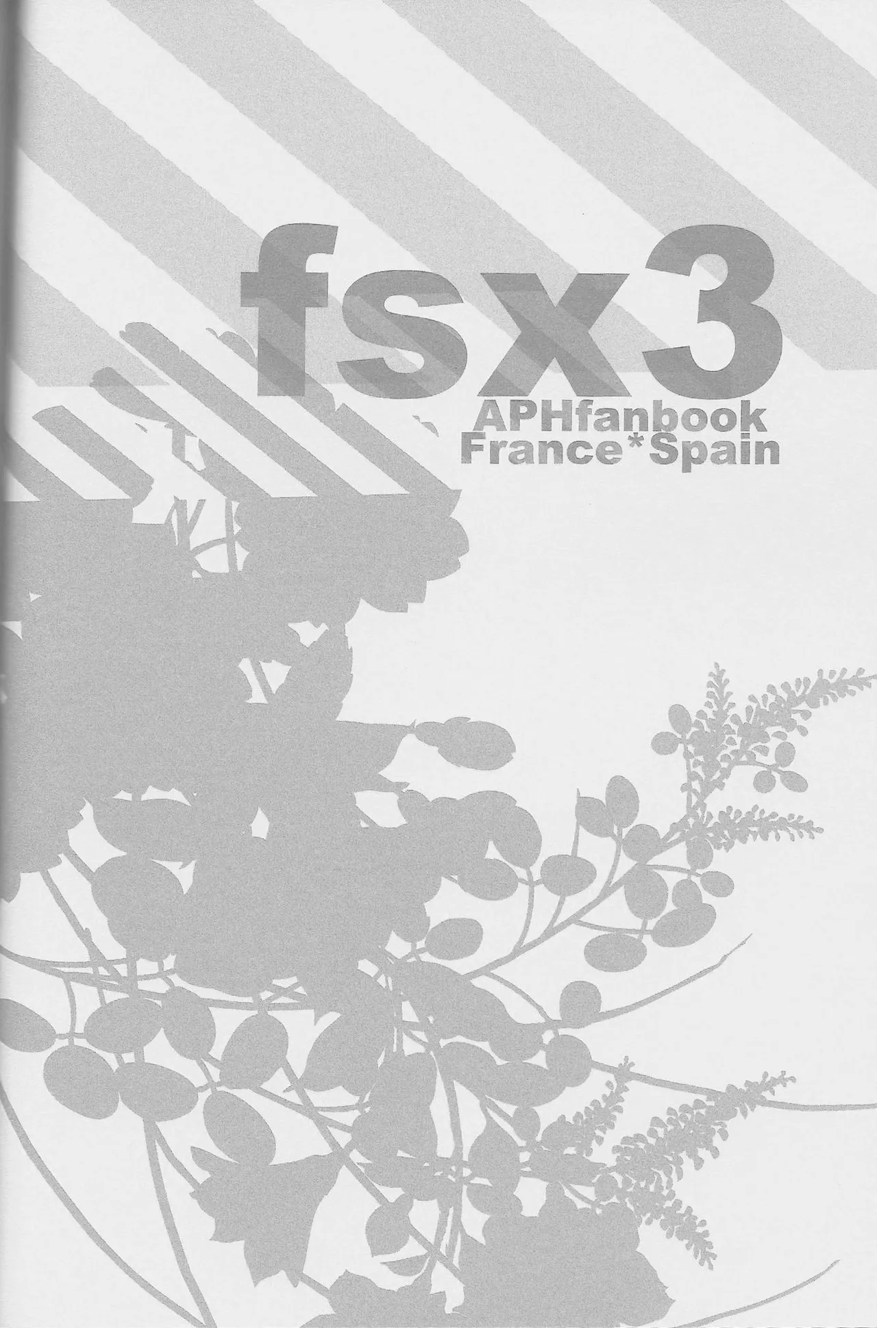 fsx3 Page.29