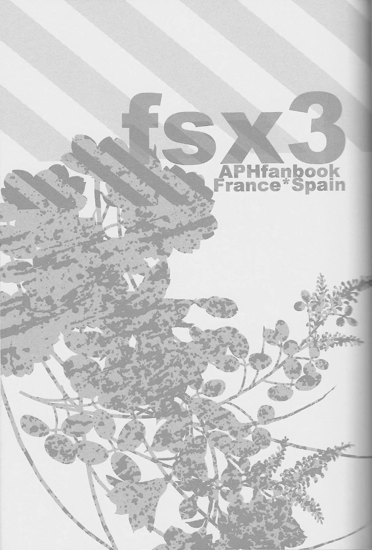 fsx3 Page.4