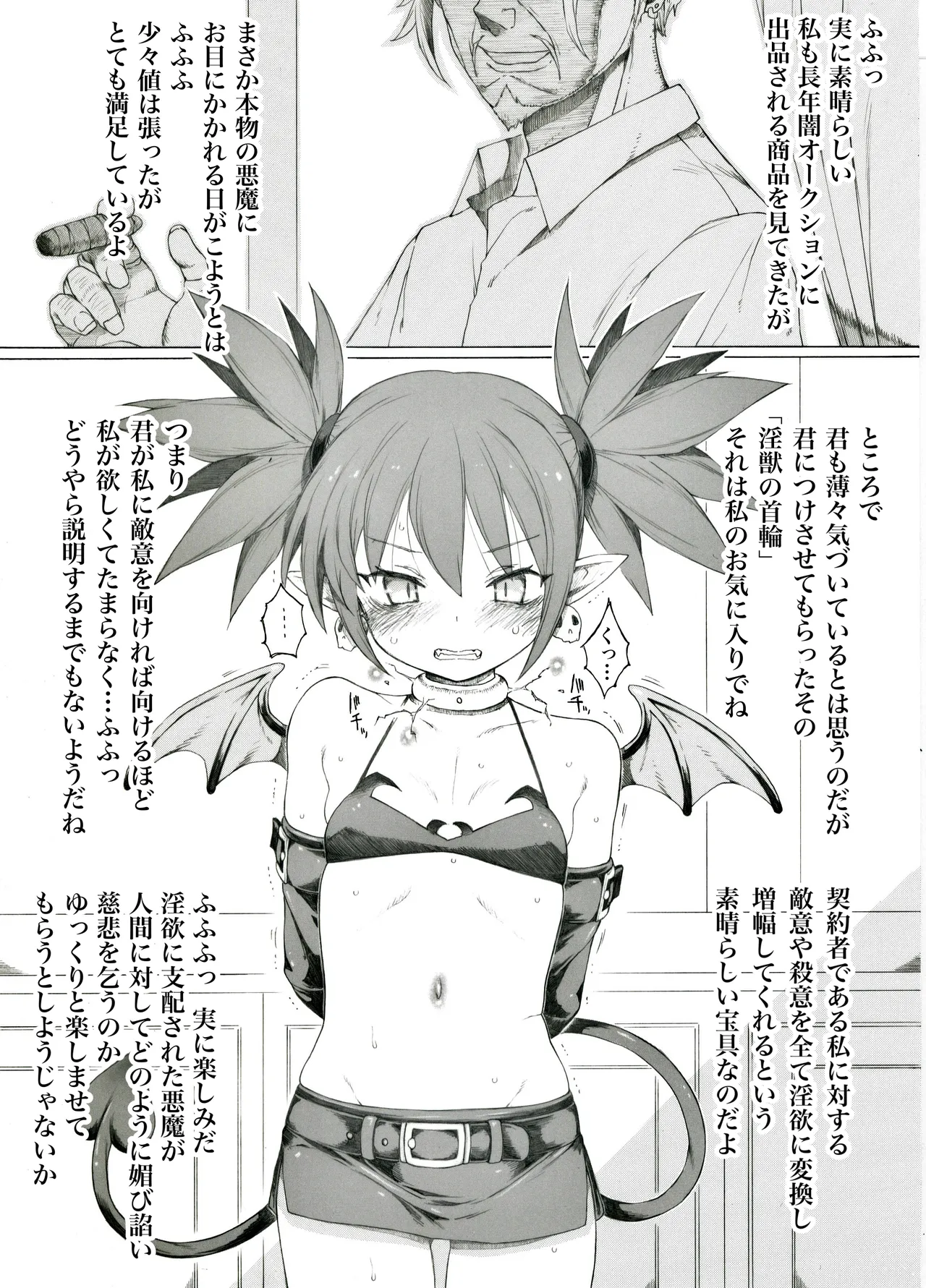 超時空美少女悪魔が捕縛されたようです
