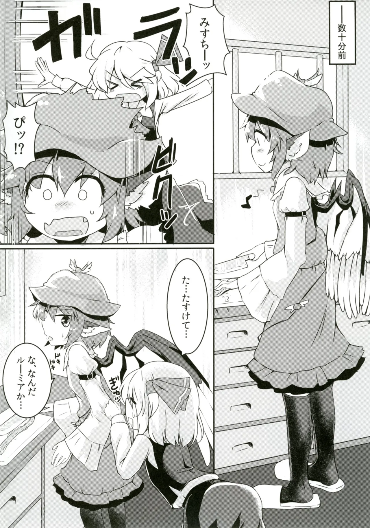 ルーミアとミスティアがイチャつくスケベ本 Page.4