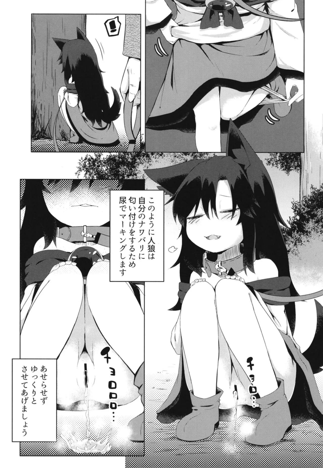 影狼ちゃんの飼い方2 おさんぽ編 Page.5
