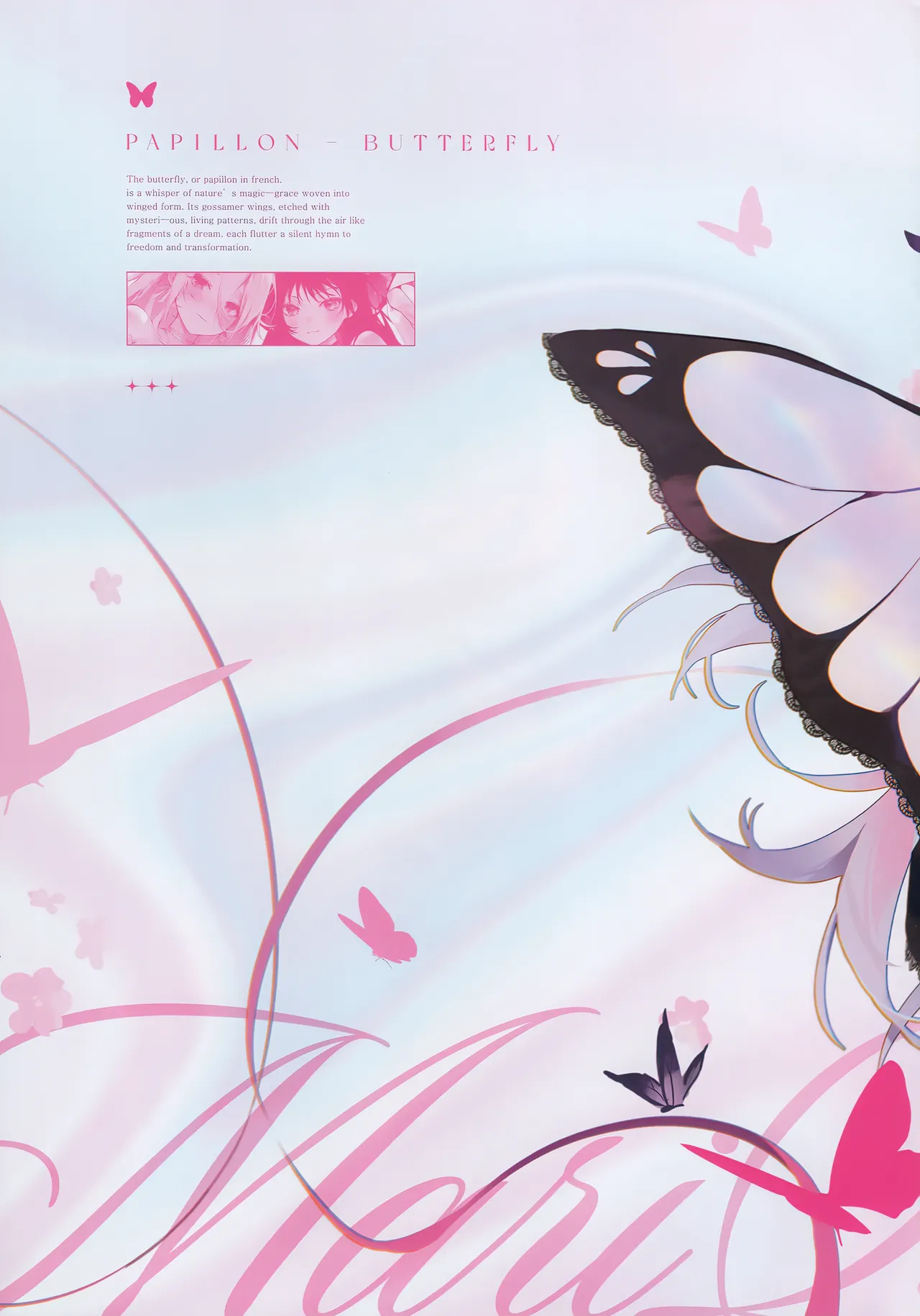 Papillon Page.22
