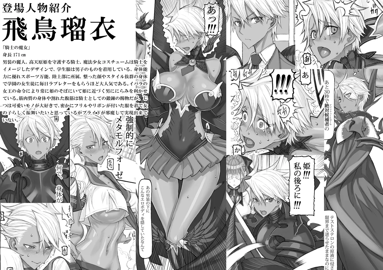 魔法少女総集編5 Page.10